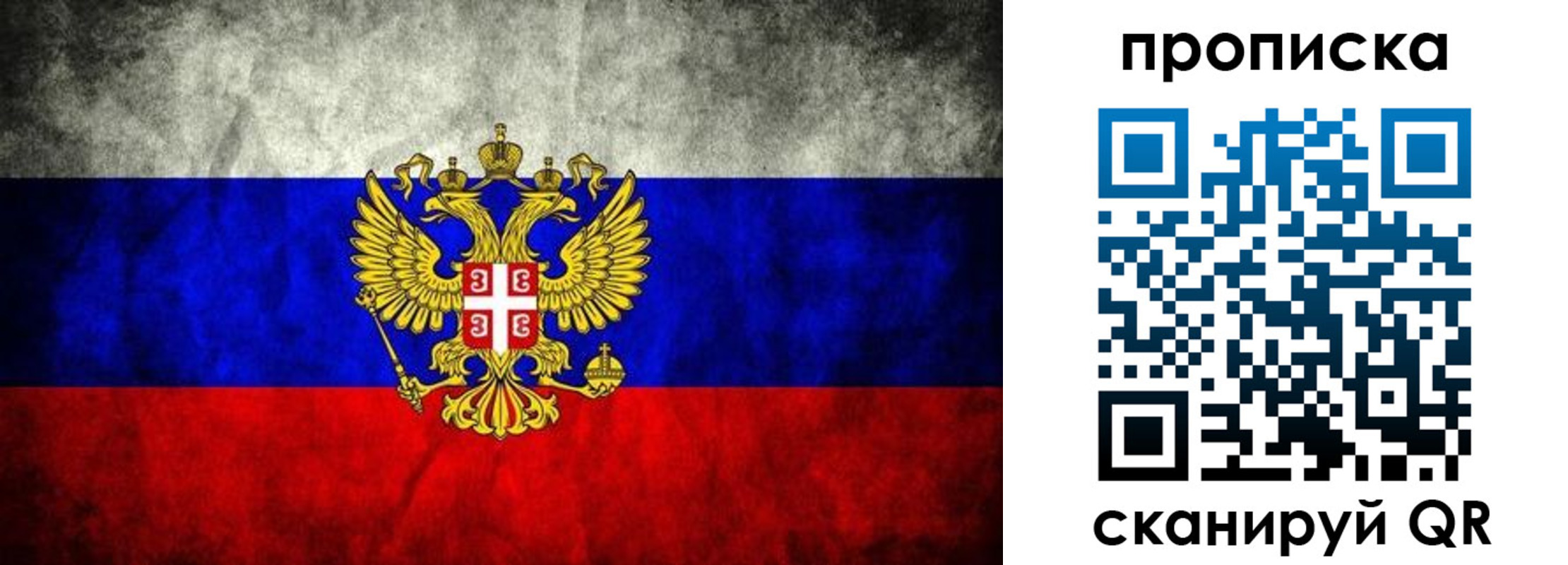 прописка поиск в Тынде
